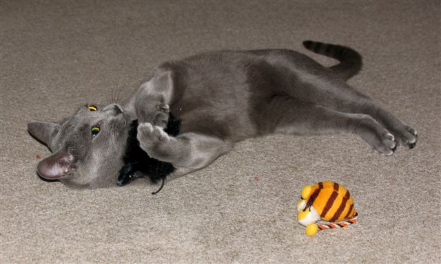 Phoebe am 09.12.2006